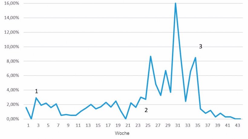 Abb. 7: W&ouml;chentliche Mortalit&auml;t bei den Problemen mit der &Ouml;demkrankheit; 1 = erste Anzeichen, die nach 3-4 Wochen abklangen; 2 = Erneutes Auftreten der Krankheit in viel h&ouml;herem Ausma&szlig;; 3 = Erste Woche mit geimpften Schweinen.
