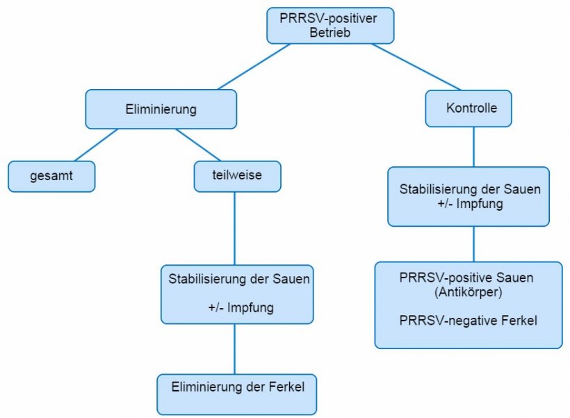 Abbildung 1: Schematische Darstellung der verschiedenen Ans&auml;tze bei PRRSV-positiven Betrieben
