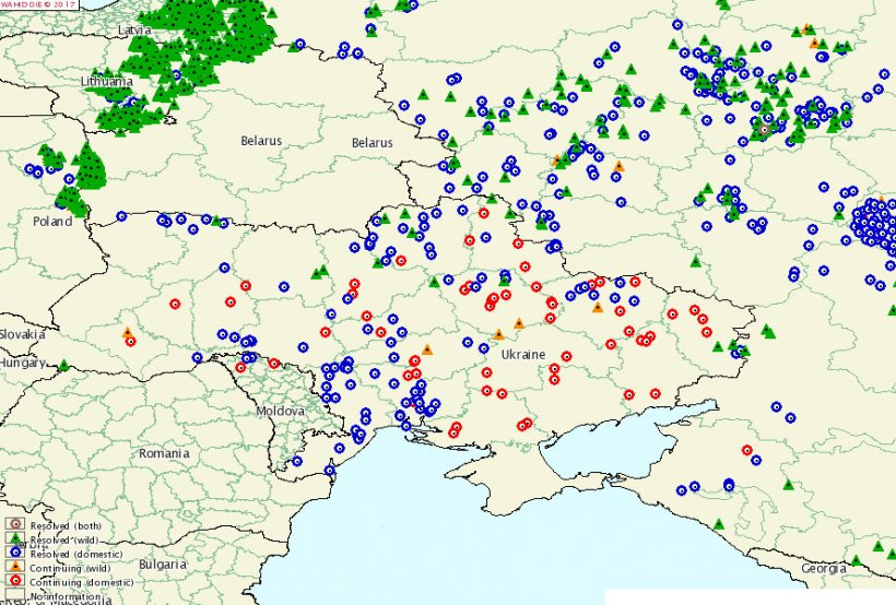 Seit 2014 von der ASP betroffene Gebiete. Lwiw ist die einzige Oblast, die noch von der Seuche verschont geblieben ist.
