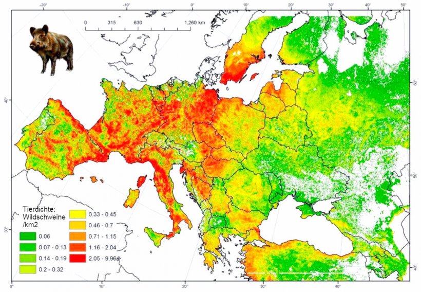 Abbildung 2: Gesch&auml;tzte Eberpopulation in Europa. Quelle: FAO-ASFORCE, Mai 2015
