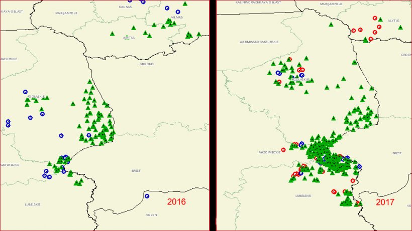 Ausbreitung der ASP in Polen (Quelle: OIE)
