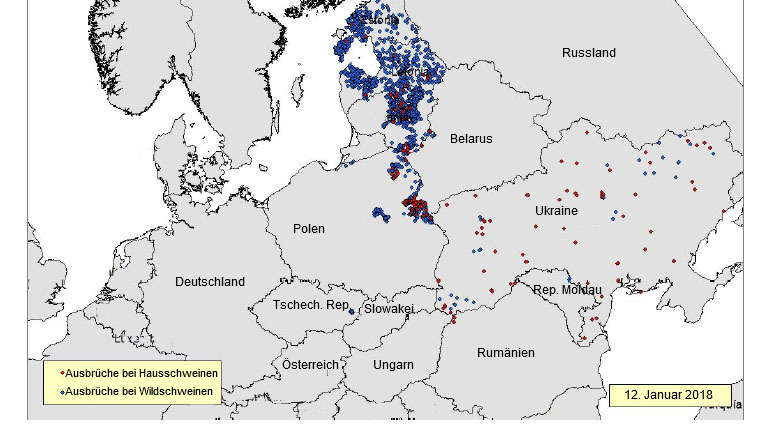 Seit Juni 2017 gemeldete ASP-Ausbr&uuml;che in Osteuropa (Quelle: RASVE-ADNS)
