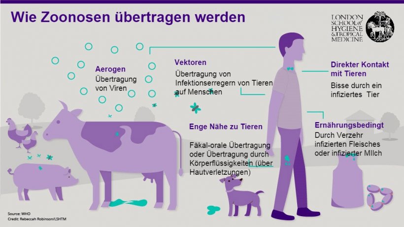 Abbildung&nbsp;1. &Uuml;bertragungswege von Zoonosen.&nbsp;Zoonosen sind Infektionskrankheiten, die vom Tier auf den Menschen, aber auch vom Menschen auf das Tier &uuml;bertragen werden k&ouml;nnen.&nbsp;Quelle: London School of Hygiene and Tropical Medicine.
