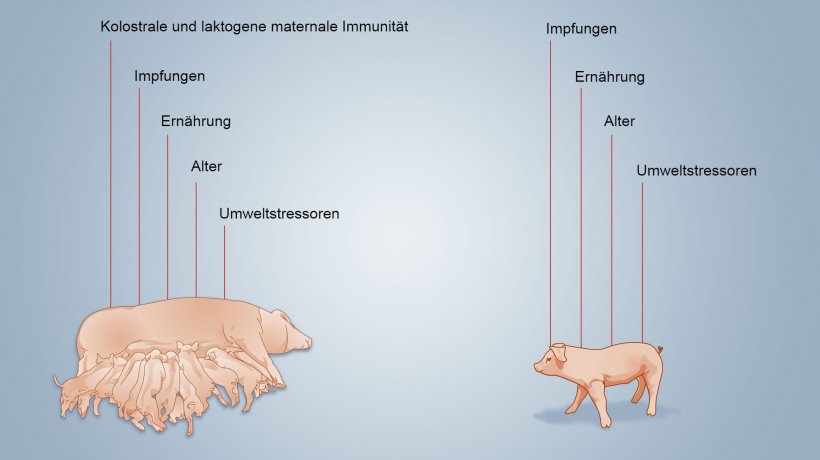 Abb.&nbsp;2. Faktoren, die die Entwicklung der neonatalen Immunit&auml;t beeinflussen
