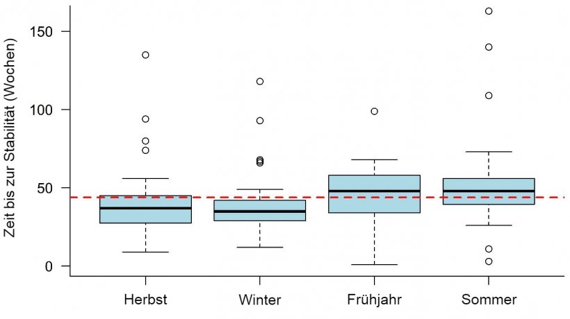 Abbildung 1: Zeit bis zur PRRS-Stabilit&auml;t, die je nach Jahreszeit festgestellt wurde, in welcher der Ausbruch auftrat. Die gestrichelte Linie stellt den Gesamtmittelwert (43,9 Wochen) dar. Jede Box repr&auml;sentiert 50 % der Daten (Perzentile 25 - 75) und die schwarze Linie innerhalb der Box stellt den Median (Perzentil 50) dar, so dass die H&auml;lfte der Ausbr&uuml;che in der jeweiligen Jahreszeit eine TTS &uuml;ber dieser Linie und die andere H&auml;lfte der Ausbr&uuml;che eine TTS unterhalb dieser Linie hatte.
