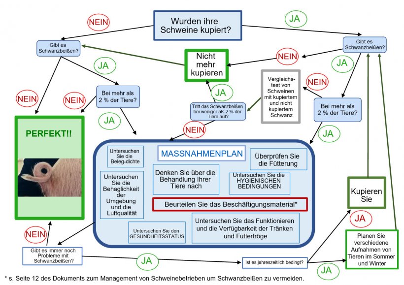 Entscheidungsbaum von ANPROGAPOR
