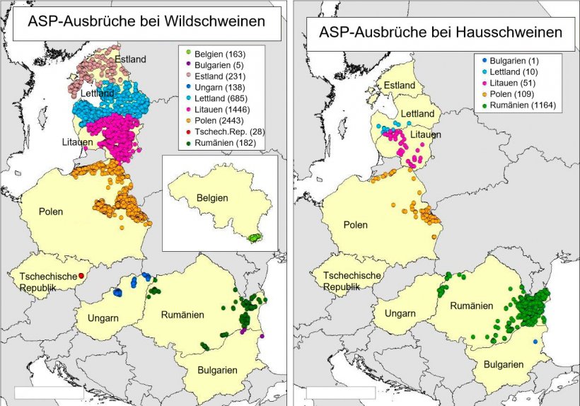 Karte der im Jahr 2018 aus Belgien, Bulgarien, Estland, Lettland, Litauen, Polen, Rum&auml;nien, der Tschechischen Republik und Ungarn gemeldeten Ausbr&uuml;che (Quelle: RASVE-ADNS)
