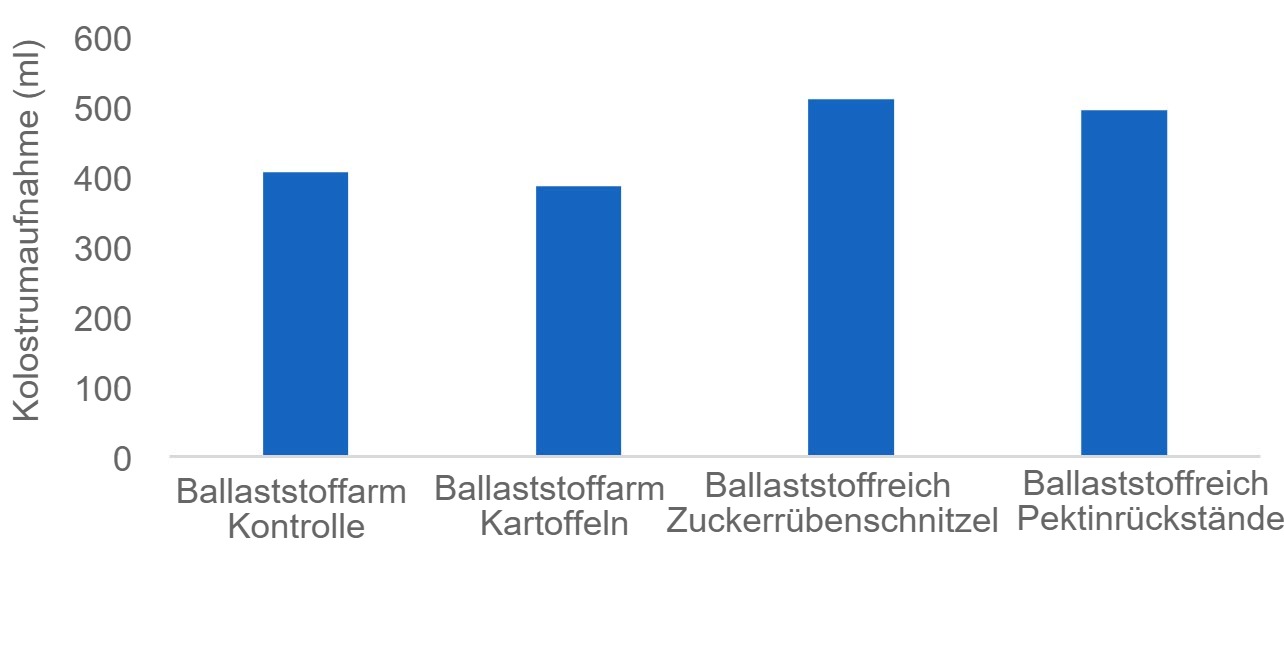 <p><span><span>Abbildung 1: Eine ausreichende Kolostrumaufnahme ist entscheidend, damit neugeborene Ferkel am Leben bleiben, und einige Ballaststoffquellen (z. B. Zuckerr&uuml;benschnitzel und Pektinr&uuml;ckst&auml;nde) k&ouml;nnen die Kolostrumproduktion der Sau stimulieren. In dieser Studie wurde die Kolostrumaufnahme mit Isotopen gemessen.</span></span></p>
