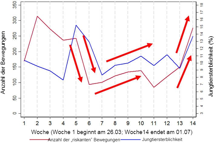 Abbildung 2: Grafik, die grobe Zusammenh&auml;nge zwischen der Jungtiersterblichkeit und der Anzahl der &bdquo;riskanten&ldquo; Bewegungen (definiert als Bewegungen zu/von Laderampen und/oder Aufzuchtst&auml;llen) zeigt. Diese Daten sind eine Teilmenge von Daten, die ca. 14 Wochen lang f&uuml;r einen der Betriebe (Betrieb 3) erhoben wurden.
