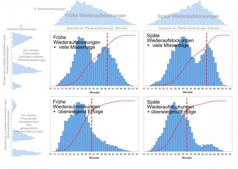 Grafik 1: Je nachdem, wann die Entscheidungen zur Wiederaufstockung getroffen werden (fr&uuml;h/sp&auml;t - oben im Diagramm) und nach der Zeit, die f&uuml;r die Wiederherstellung der gesamten Produktion ben&ouml;tigt wird (einzelner/gelegentlicher Versuch oder mehrere Versuche - links im Diagramm), werden vier verschiedene Muster der Wiederaufstockung mit Schweinen beschrieben. Die kumulativen Verteilungen der Zeit f&uuml;r die Erholung werden rot dargestellt und die gepunkteten roten Linien geben die Anzahl der Monate an, die ben&ouml;tigt werden, bis 80 % der Wiederaufstockung erreicht sind.
