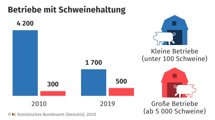 Betrieve mit Schweinehaltung