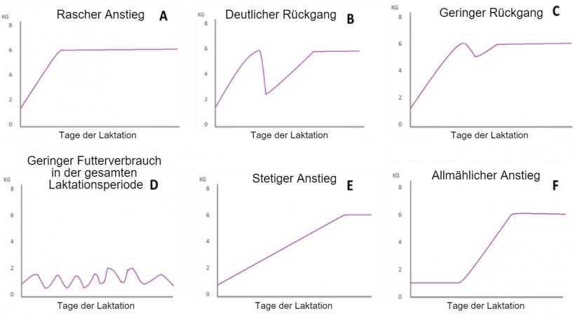 Abbildung 1: Fressmuster laktierender Sauen, die von Koketsu et al (1996a) beschrieben wurden. A) rascher Anstieg des Futterverbrauchs; B) deutlicher R&uuml;ckgang des Futterverbrauchs; C) geringer R&uuml;ckgang; D) geringer Futterverbrauch w&auml;hrend der gesamten Laktationsperiode; E) geringer Futterverbrauch in der ersten Laktationswoche und ein stetiger Anstieg w&auml;hrend der &uuml;brigen Laktationszeit; und F) allm&auml;hlicher Anstieg des Futterverbrauchs.
