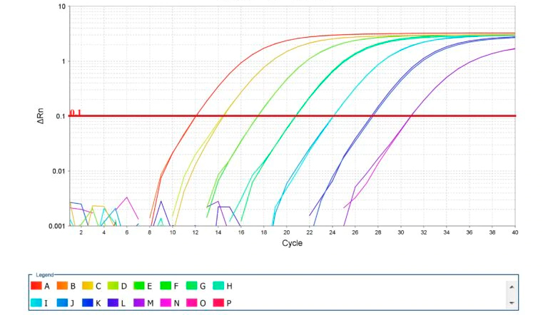 Bild 2: Amplifikation von Standardkurven f&uuml;r qPCR. Quelle: Thermo Fisher Scientific Inc.
