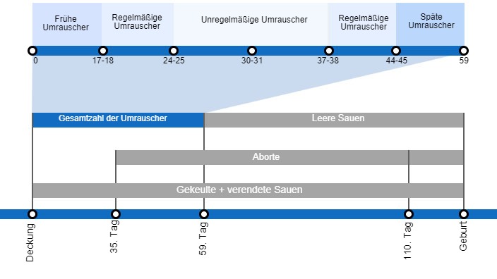 Arten von Embryoverlusten, die die Abferkelrate senken k&ouml;nnen, mit einer detaillierten Beschreibung der verschiedenen Arten des Umrauschens, je nachdem, wann dieses Ph&auml;nomen auftritt.
