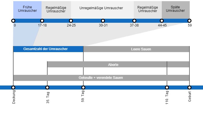 Arten von Embryoverlusten, die die Abferkelrate senken k&ouml;nnen, mit einer detaillierten Beschreibung der verschiedenen Arten des Umrauschens, je nachdem, wann dieses Ph&auml;nomen auftritt.
