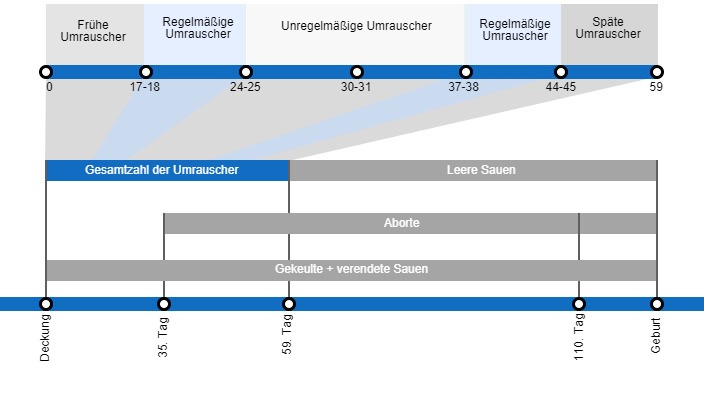 Arten von Embryoverlusten, die die Abferkelrate senken k&ouml;nnen, mit einer detaillierten Beschreibung der verschiedenen Arten des Umrauschens, je nachdem, wann dieses Ph&auml;nomen auftritt.
