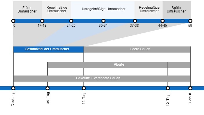 Arten von Embryoverlusten, die die Abferkelrate senken k&ouml;nnen, mit einer detaillierten Beschreibung der verschiedenen Arten des Umrauschens, je nachdem, wann dieses Ph&auml;nomen auftritt
