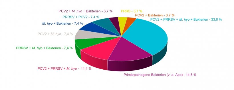 Abbildung 1: Kombinationen von Pathologien bei F&auml;llen von PRDC, die in den letzten vier Jahren vom Dienst f&uuml;r pathologische Anatomie der Veterin&auml;rwissenschaftlichen Fakult&auml;t der Universit&auml;t Murcia diagnostiziert wurden.
