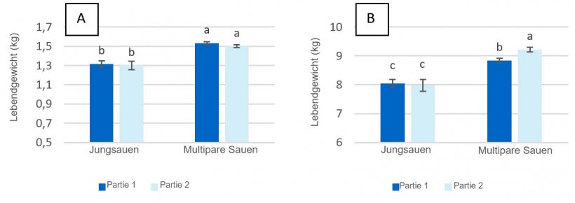 Abbildung 2: Lebendgewicht von Ferkeln nach der Geburt (A) und beim Absetzen (Tag 28 der Laktation) (B) von Jungsauen und multiparen Sauen, die in den Tagen vor dem Abferkeln maximal 2,80 kg/Tag (Partie 1) bzw. 4,20 kg/Tag (Partie 2) Futter erhielten.
