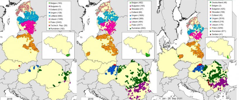 Karte der ASP-F&auml;lle bei Wildschweinen in den Jahren 2018, 2019 und 2020 (Stand: September 2020) (Quelle: MAPA auf Grundlage von RASVE/ADNS-Daten)
