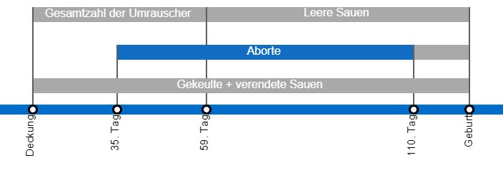 Arten von Embryoverlusten, die die Abferkelrate senken k&ouml;nnen, mit einer detaillierten Beschreibung der verschiedenen Arten des Umrauschens, je nachdem, wann dieses Ph&auml;nomen auftritt.
