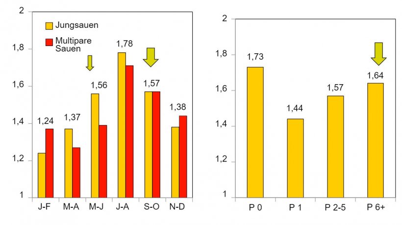 Aborte nach Saison und nach Parit&auml;t (Koketsu, 2015).
