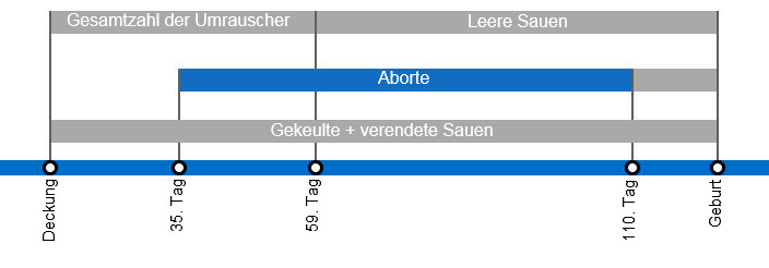 Arten von Embryoverlusten, die die Abferkelrate senken k&ouml;nnen, mit einer detaillierten Beschreibung der verschiedenen Arten des Umrauschens, je nachdem, wann dieses Ph&auml;nomen auftritt.
