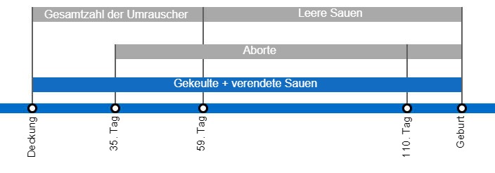 Arten von Embryoverlusten, die die Abferkelrate senken k&ouml;nnen, mit einer detaillierten Beschreibung der verschiedenen Arten des Umrauschens, je nachdem, wann dieses Ph&auml;nomen auftritt.
