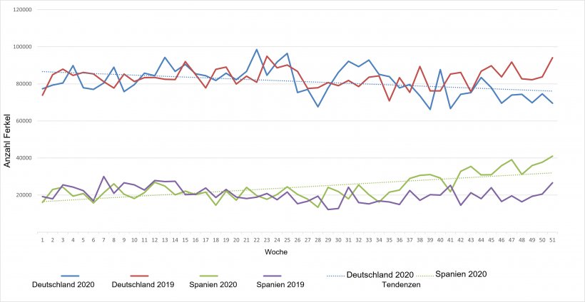 W&ouml;chentliche Entwicklung der niederl&auml;ndischen Ferkelexporte nach Deutschland und Spanien f&uuml;r 2019 und 2020
