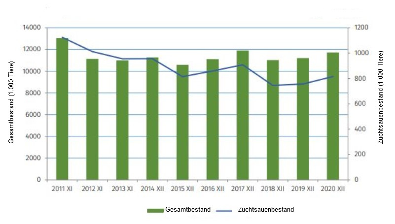 Entwicklung des polnischen Schweinebestands seit 2011. Quelle: GUS
