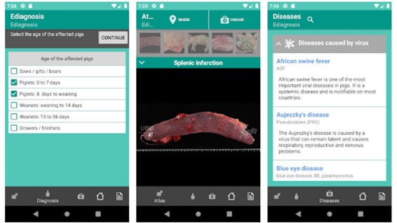 Die App &bdquo;E-diagnostics&ldquo; ist ein Hilfsmittel f&uuml;r die Diagnose von Schweinekrankheiten.
