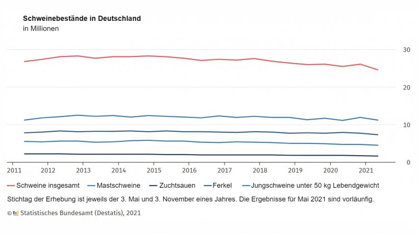 Schweinebestand