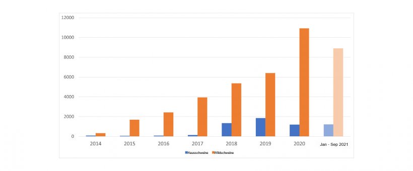 Entwicklung der ASP-Ausbr&uuml;che in der EU
