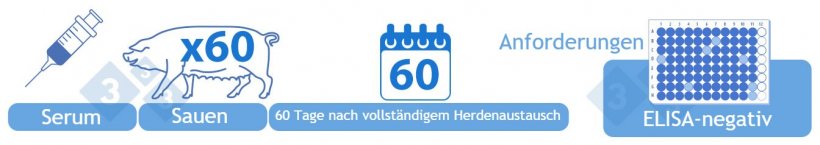 Kategorie IV Negativ: Testen Sie das Serum von 60 adulten Zuchttieren 60 Tage nach vollst&auml;ndigem Austausch der Herde mittels ELISA. Um dieser Kategorie zugeordnet zu werden, darf es keine positiven Ergebnisse geben. Alternativ dazu beginnt die Kategorie IV ein Jahr nach Beginn der Kategorie III, wenn keine ELISA-positiven Proben gemeldet wurden. In diese Kategorie fallen mit naiven Tieren wieder aufgestockte Best&auml;nde, nachdem die Tests negativ ausgefallen sind.
