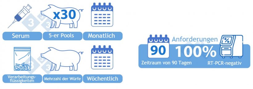 Kategorie IIvx Positiv Stabil mit Impfung: OPTION 2) Kombination von Serum und Verarbeitungsfl&uuml;ssigkeiten. Serum von 30 absetzf&auml;higen Ferkeln, die monatlich in 5er-Pools getestet werden. Eine Sammelprobe von Verarbeitungsfl&uuml;ssigkeiten wird w&ouml;chentlich mittels RT-PCR getestet. Die meisten W&uuml;rfe, an denen in der entsprechenden Woche zootechnische Eingriffe vorgenommen wurden, sollten in der Probe vertreten sein. Alle Proben m&uuml;ssen in einem Zeitraum von 90 Tagen negativ sein, um dieser Kategorie zugeordnet zu werden. Wird eine positive Probe mittels RT-PCR mehr als zwei Wochen nach der Impfung der Herde gefunden, sollte das Wildtypvirus mit Hilfe verf&uuml;gbarer Diagnosemethoden wie beispielsweise der Sequenzierung ausgeschlossen werden.
