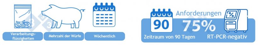 Kategorie I-B Positive Instabile Niedrige Pr&auml;valenz: OPTION 2) Eine Sammelprobe von Verarbeitungsfl&uuml;ssigkeiten wird w&ouml;chentlich mittels RT-PCR getestet. Die meisten W&uuml;rfe, an denen in der entsprechenden Woche zootechnische Eingriffe vorgenommen wurden, sollten in der Probe vertreten sein. 75 % (10 von 13) der Partien m&uuml;ssen in einem Zeitraum von 90 Tagen per RT-PCR PRRSv-negativ getestet worden sein, um in diese Kategorie aufgenommen zu werden.
