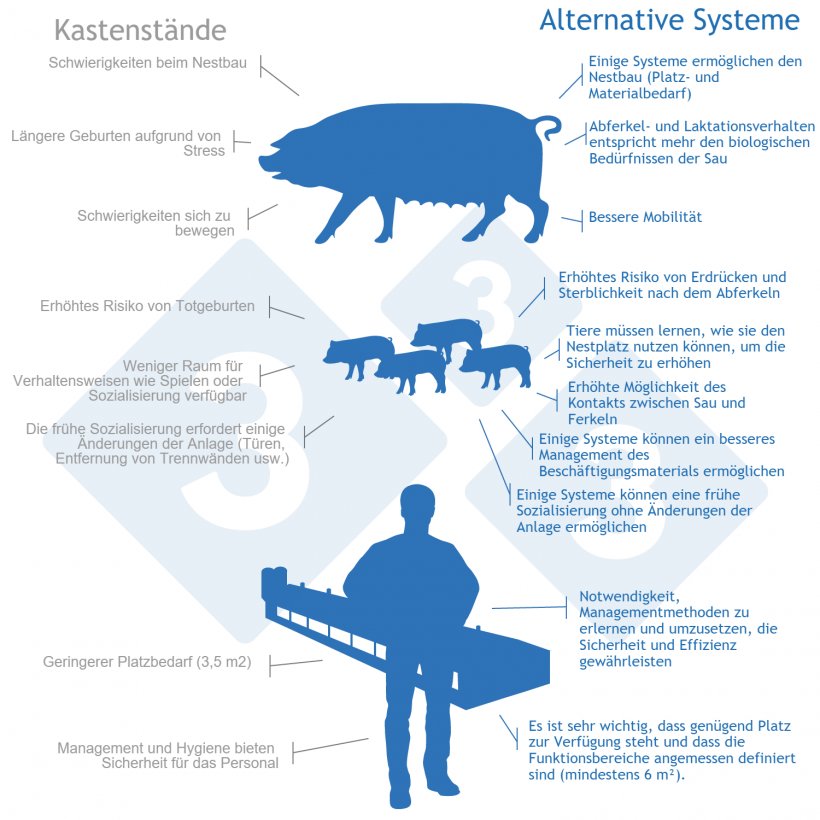 Was ist der Unterschied zwischen Ferkel und Schwein?