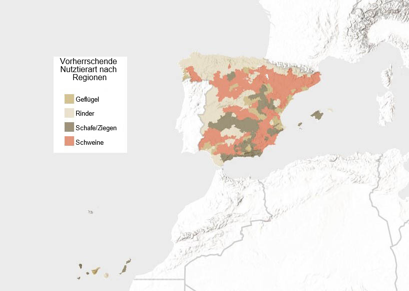 Vorherrschende Nutztierart in Spanien (nach Gro&szlig;vieheinheiten). Quelle: INE.
