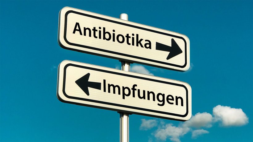 Die Intensivierung der tierischen Lebensmittelproduktion und das Aufkommen neuer Produktionssysteme (wie z. B. die antibiotikafreie Aufzucht oder die &ouml;kologische Tierhaltung) hat zum Auftauchen oder Wiederauftauchen von Krankheitserregern gef&uuml;hrt. Diese neuen gesellschaftlichen Trends und der Wille, den Einsatz von Antimikrobiotika in der Nutztierhaltung zu reduzieren, machen deutlich, wie wichtig es ist, bestehende Impfstoffe zu verbessern und/oder neue Impfstrategien zu entwickeln, um gegen neu oder wieder auftretende Krankheitserreger vorzugehen.
