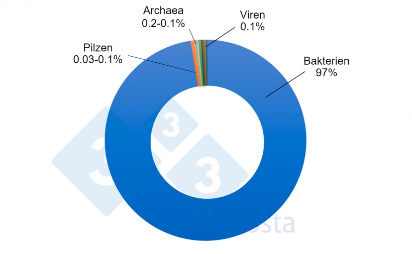 Abbildung 1: Gesch&auml;tzter relativer Anteil der verschiedenen Mikroorganismen im Darmmikrobiom von Schweinen. W&auml;hrend Bakterien die &uuml;berwiegende Mehrheit der Mikroben im Schweinedarm ausmachen, spielen andere Mikroorganismen eine wichtige Rolle in dem komplexen Netzwerk der gegenseitigen Beeinflussung des Darms und der Mikrobiota.
