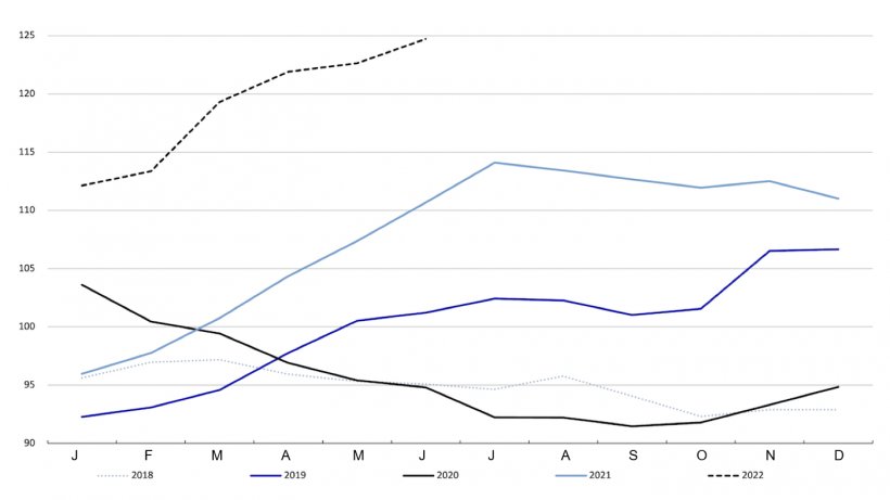 FAO-Fleischpreisindex. Quelle: FAO
