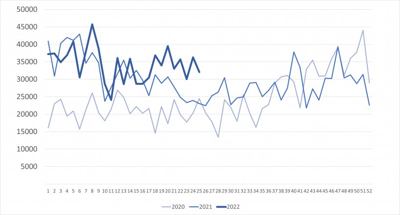 W&ouml;chentliche Importe von Ferkeln aus den Niederlanden (St&uuml;ck). Quelle: 333 auf Grundlage von RVO-Daten
