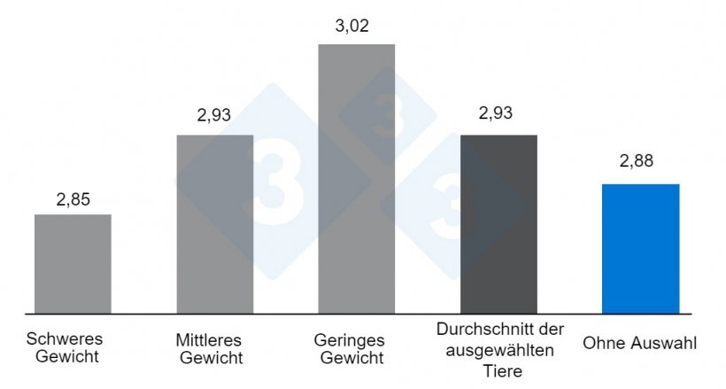 Grafik 3: Auswirkung der Auswahl bzw. Nichtauswahl von Buchten nach Gewicht auf die Futterverwertungsrate. Nach O&#39;Quinn et al. 2001.
