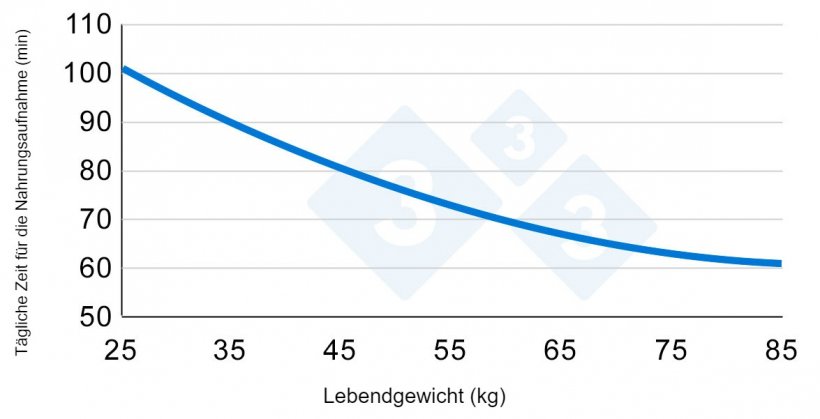 Grafik 2: Variation der Zeit, die in der Wachstumsphase der Schweine f&uuml;r die Futteraufnahme aufgewendet wird. Nach Hyun et al., 1997.
