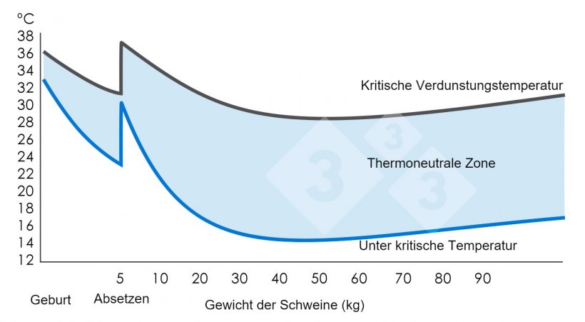 Grafik 1: Thermoneutrale Zone oder Behaglichkeitsbereich (in dem sich die Schweine wohl f&uuml;hlen). Ministry of Agriculture, Fisheries, and Food (1983). Pig Environment. Great Britain: MAFF. (Volume 2410).
