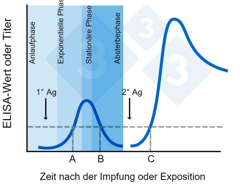 Abbildung 2: ELISA-Wert oder Titer w&auml;hrend der Zeit nach der Immunisierung
