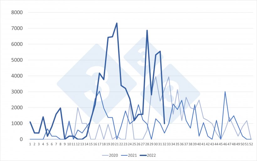 W&ouml;chentliche Einfuhren von niederl&auml;ndischen Schweinen (in St&uuml;ck). Quelle: 333 auf Grundlage von Angaben des RVO
