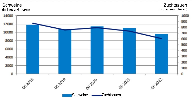 Entwicklung des polnischen Schweinebestands. Quelle: GUS
