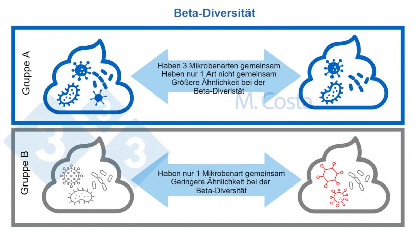 Abbildung 3: Verst&auml;ndnis der Ver&auml;nderungen in der mikrobiellen Zusammensetzung zwischen Proben (Beta-Diversit&auml;t). Eine &auml;hnlichere mikrobielle Gemeinschaft hat mehr Mikrobenarten zwischen den Proben gemein. In der Regel werden bei der Berechnung des Beta-Diversit&auml;tsindex auch andere Aspekte (wie genetische Verwandtschaft zwischen Mikroben) ber&uuml;cksichtigt.
