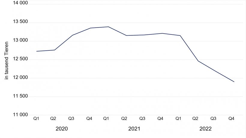 Gesamtschweinebestand in D&auml;nemark in tausend Tieren. Daten von Danmarks Statistik
